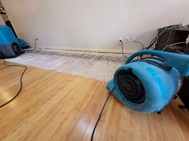 Professional Water Removal technician working in Ottoville, OH